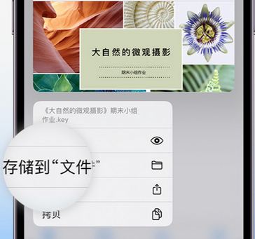 龙华apple维修中心分享iPhone文件应用中存储和找到下载文件