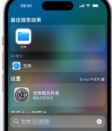 龙华apple维修中心分享iPhone文件应用中存储和找到下载文件 