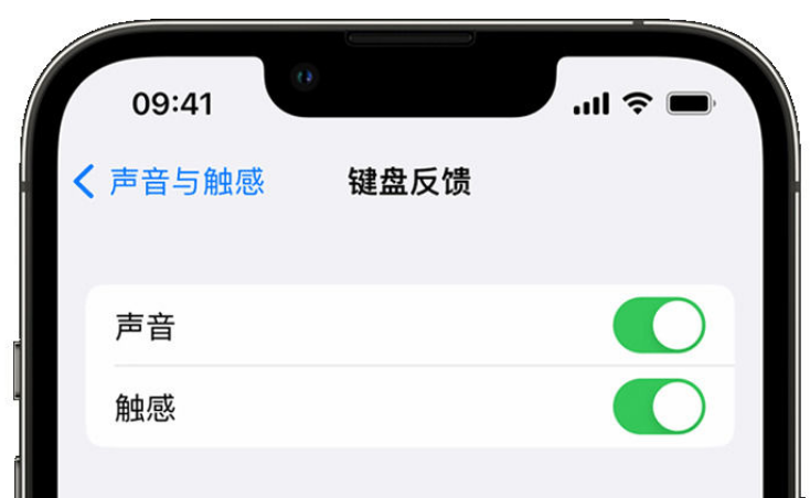 龙华苹果手机维修分享iPhone 14触感键盘使用方法 