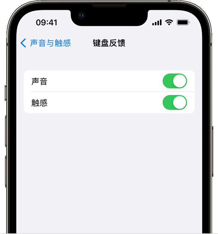 龙华苹果14维修店分享如何在 iPhone 14 机型中使用触感键盘 