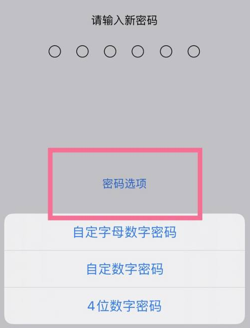 龙华苹果14维修分享iPhone 14plus设置密码的方法 