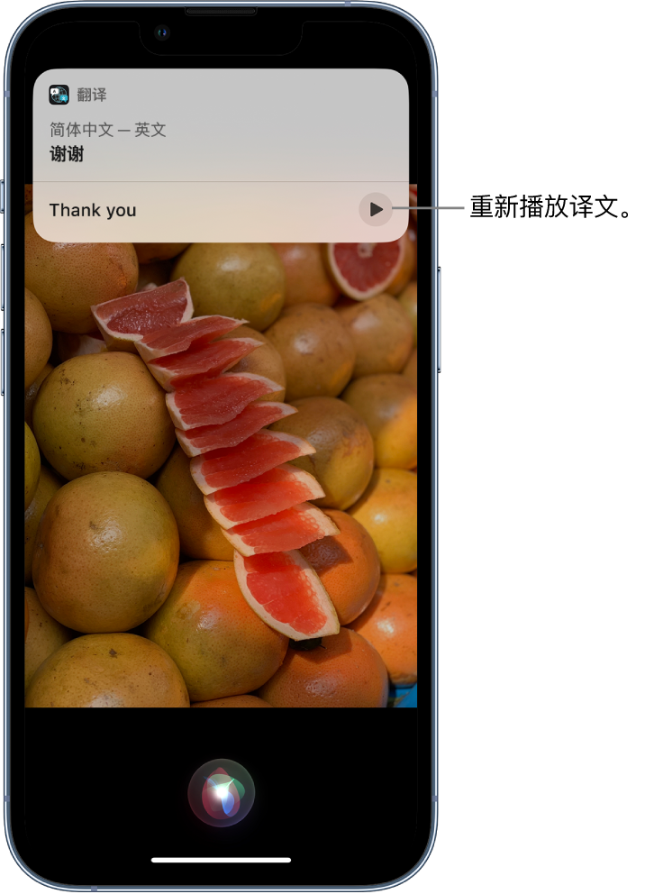 龙华苹果14维修分享 iPhone 14 机型中使用 Siri：了解 Siri 能帮你做什么 