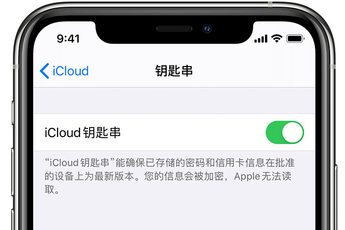 龙华苹果手机维修分享在 iPhone 上开启 iCloud 钥匙串之后会储存哪些信息 