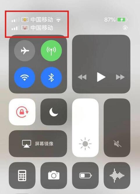 龙华苹果手机维修分享为 iPhone 12 双卡设置标签 